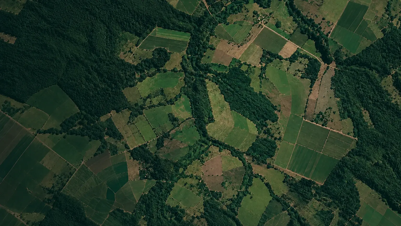 Imagem de satélite de imóveis rurais com áreas de vegetação nativa