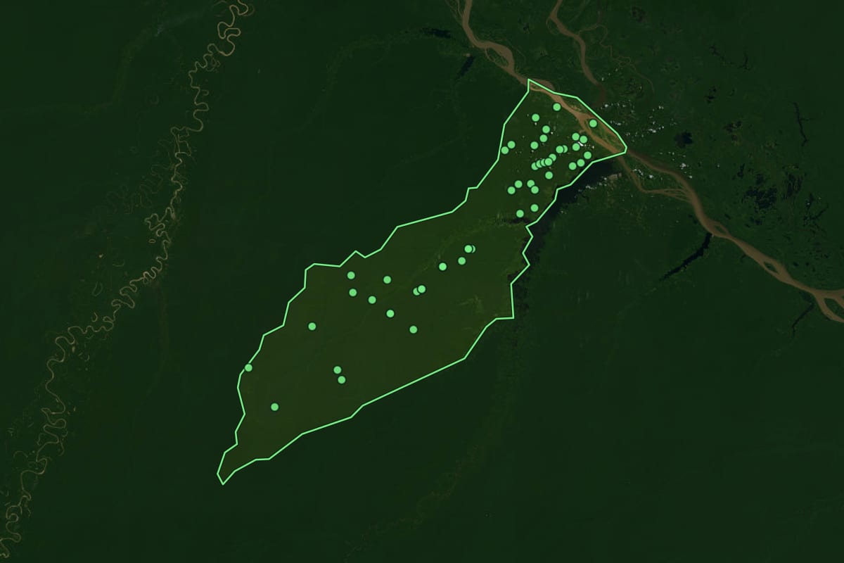 Imagem de satélite de Alvarães (AM), com o contorno do município e a posição dos imóveis desta página.
