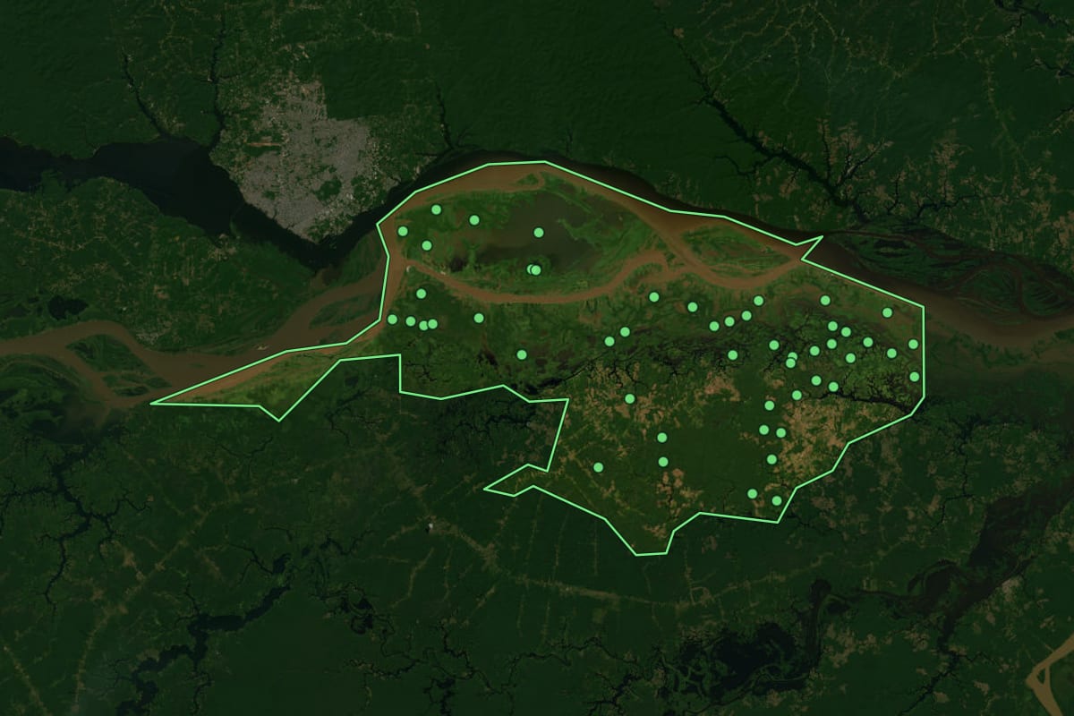 Imagem de satélite de Careiro da Várzea (AM), com o contorno do município e a posição dos imóveis desta página.