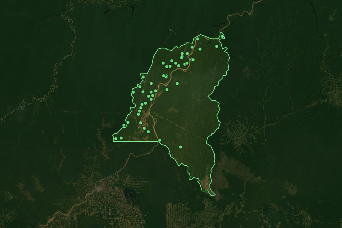 Imagem de satélite de Humaitá (AM), com o contorno do município e a posição dos imóveis desta página.