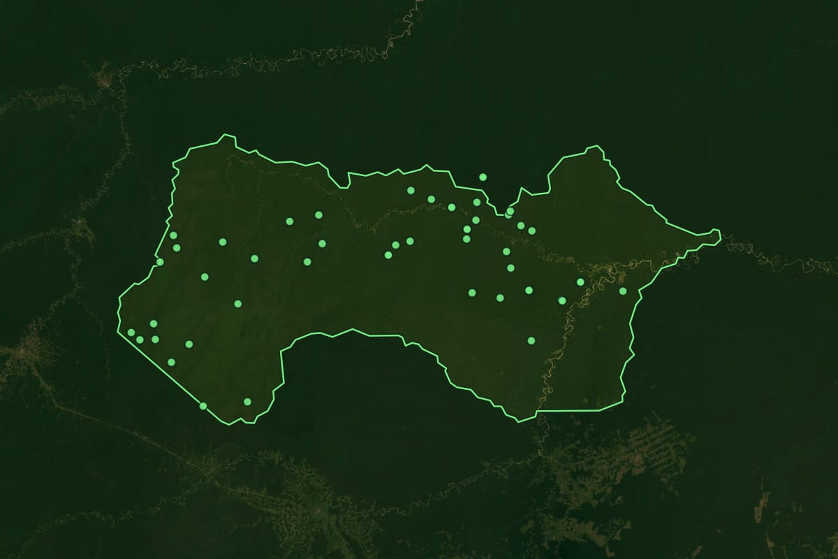 Imagem de satélite de Pauini (AM), com o contorno do município e a posição dos imóveis desta página.