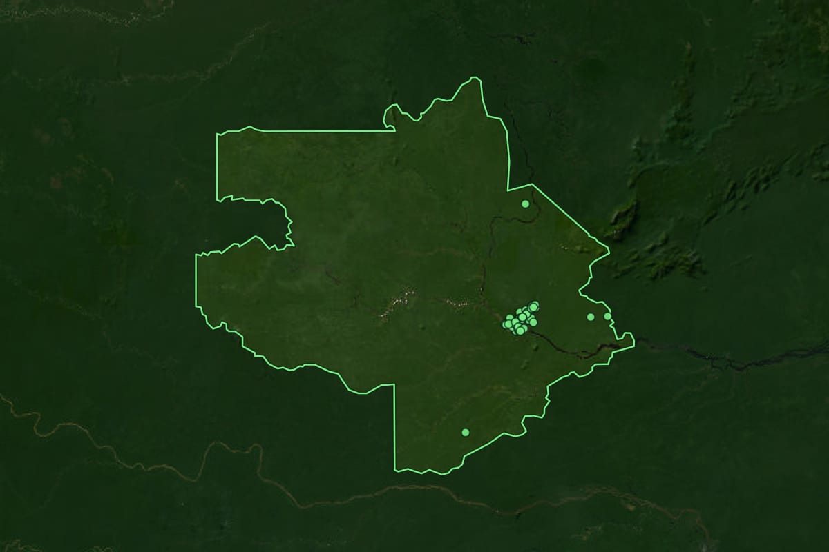 Imagem de satélite de São Gabriel da Cachoeira (AM), com o contorno do município e a posição dos imóveis desta página.