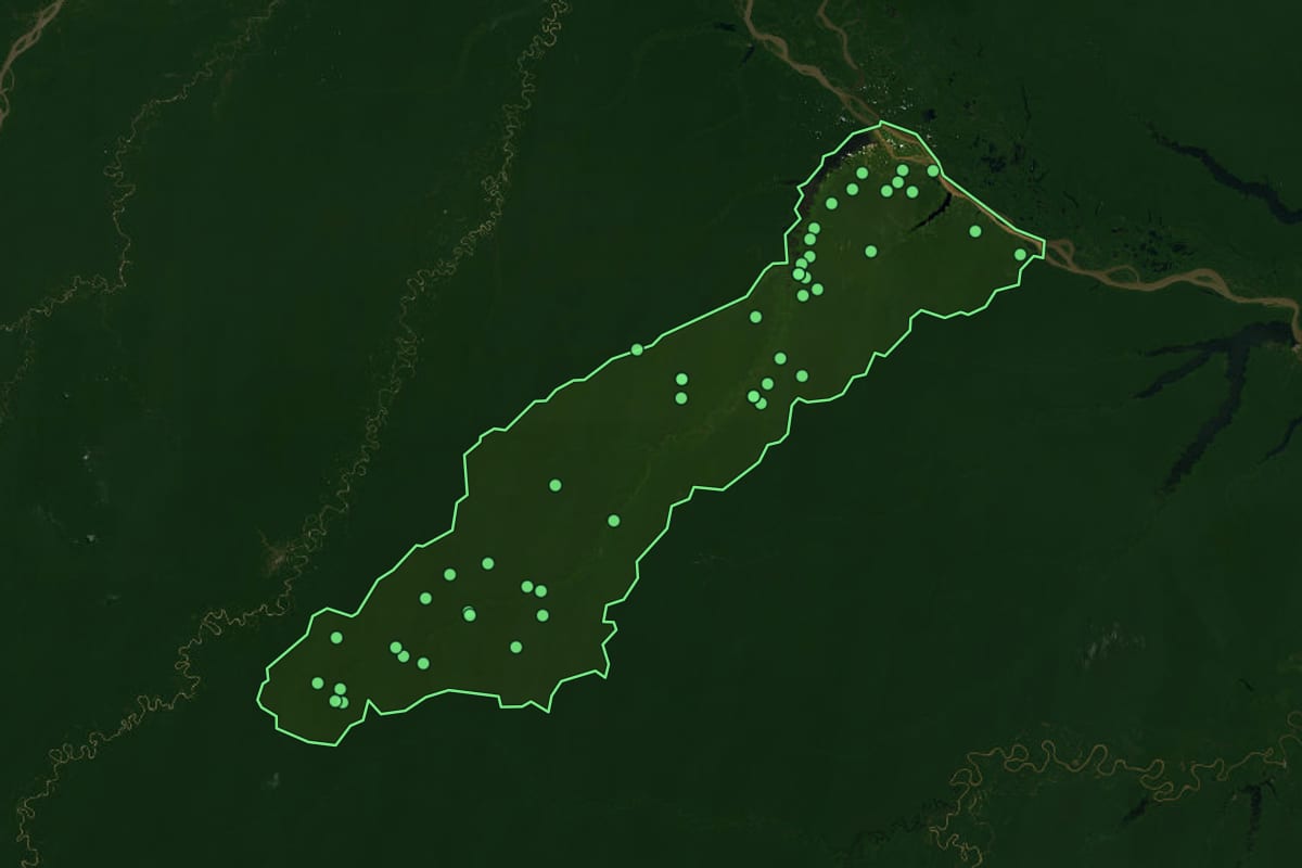 Imagem de satélite de Tefé (AM), com o contorno do município e a posição dos imóveis desta página.