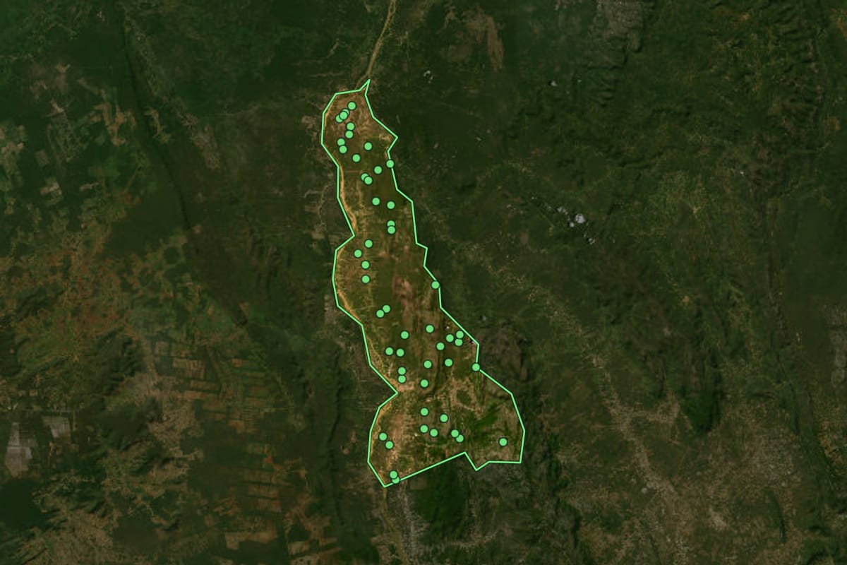 Imagem de satélite de Ibotirama (BA), com o contorno do município e a posição dos imóveis desta página.