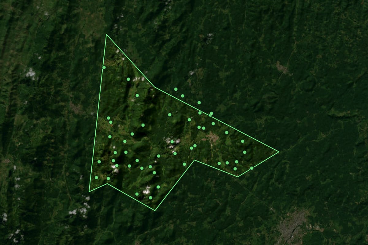 Imagem de satélite de Itajuípe (BA), com o contorno do município e a posição dos imóveis desta página.