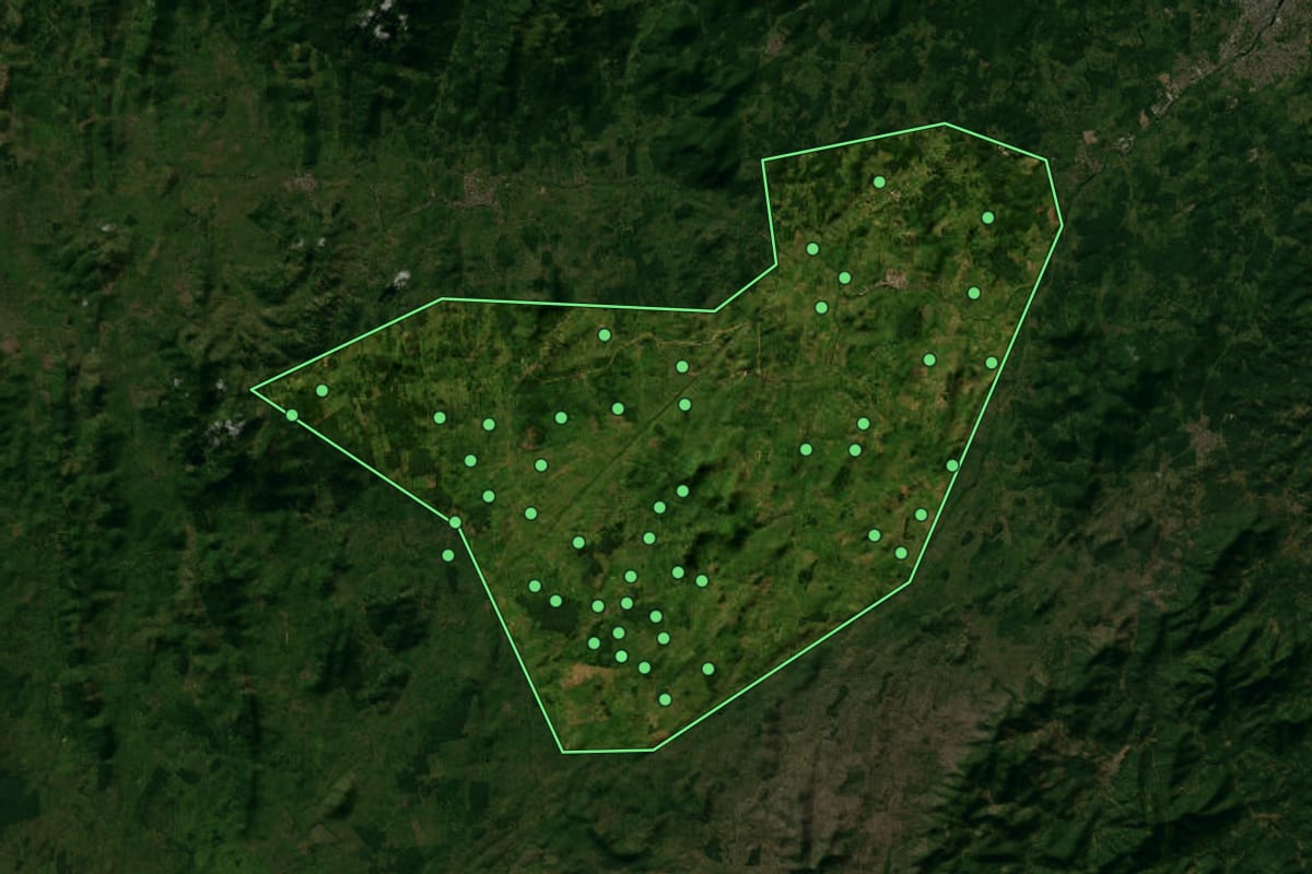 Imagem de satélite de Itapé (BA), com o contorno do município e a posição dos imóveis desta página.