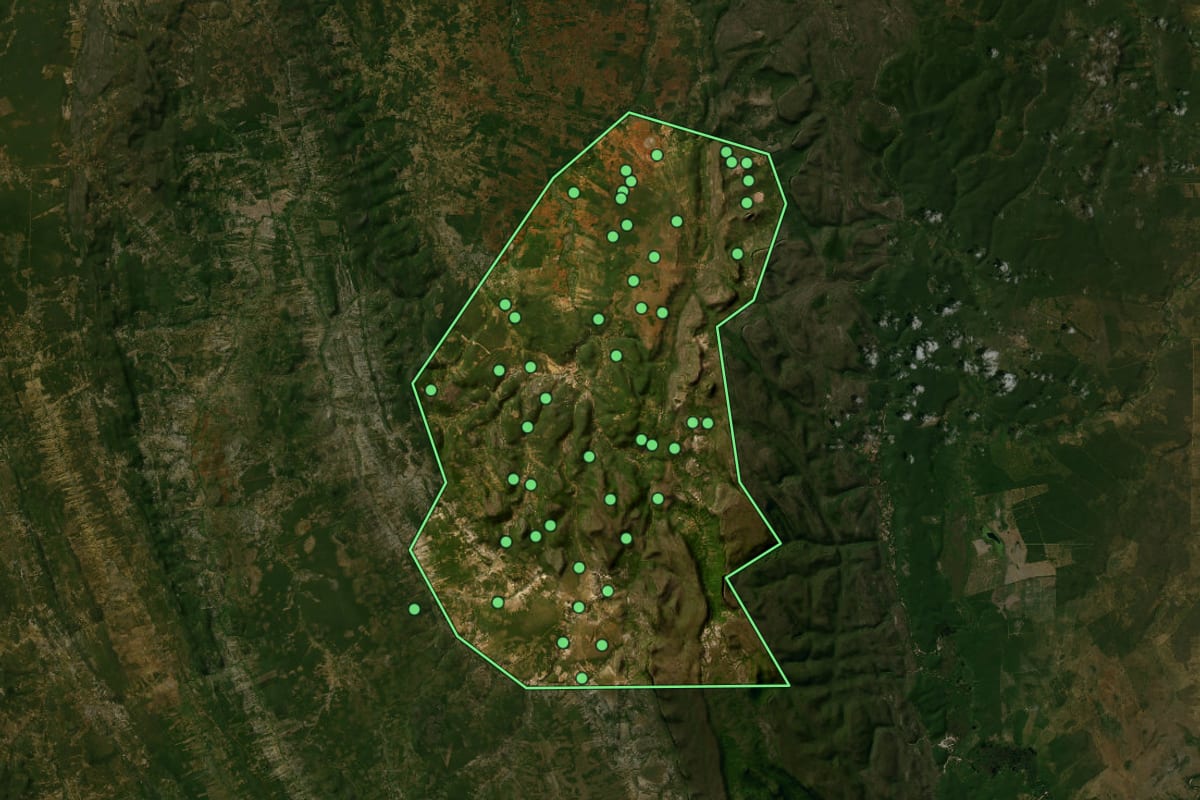 Imagem de satélite de Palmeiras (BA), com o contorno do município e a posição dos imóveis desta página.