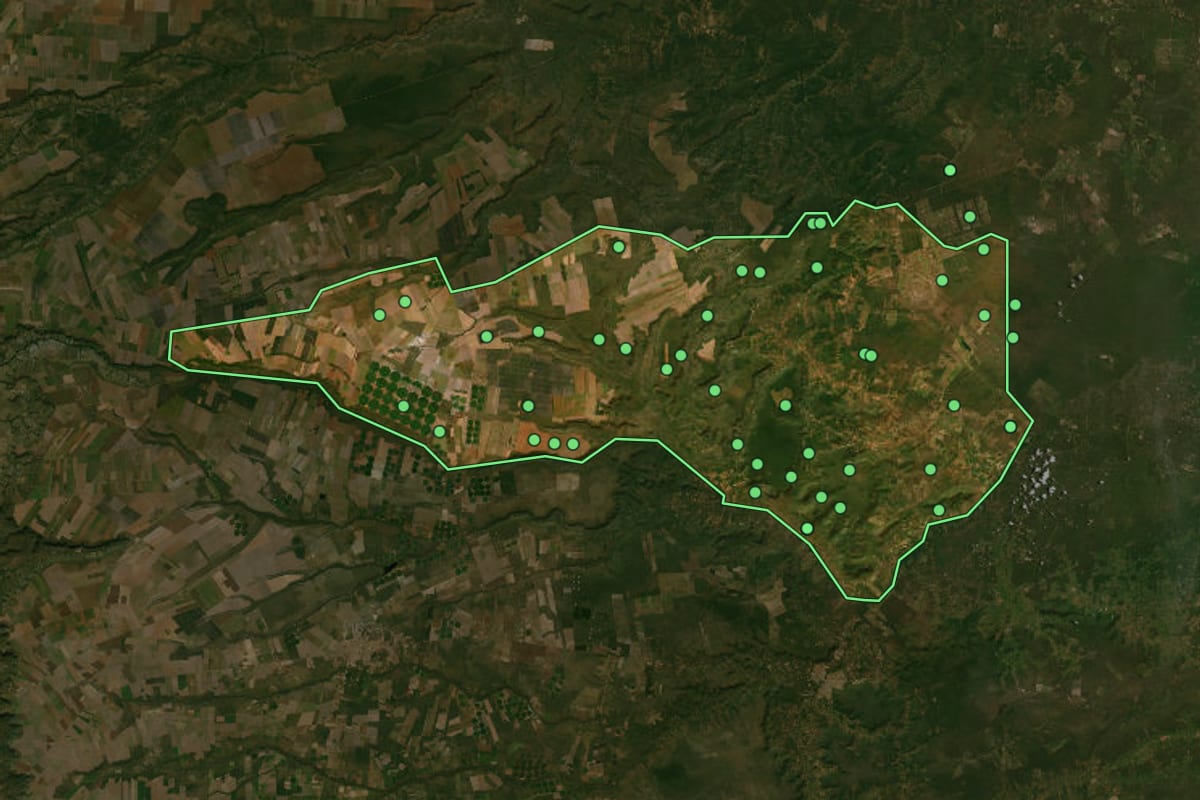 Imagem de satélite de Riachão das Neves (BA), com o contorno do município e a posição dos imóveis desta página.