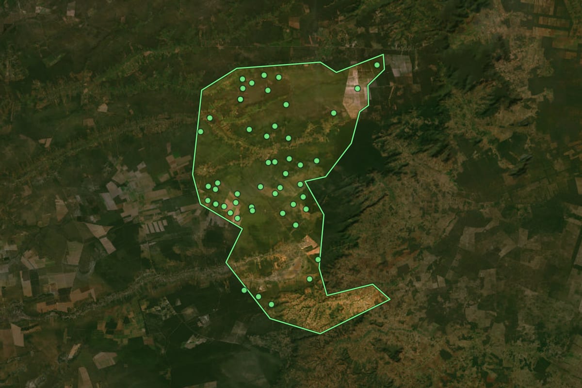 Imagem de satélite de Tabocas do Brejo Velho (BA), com o contorno do município e a posição dos imóveis desta página.