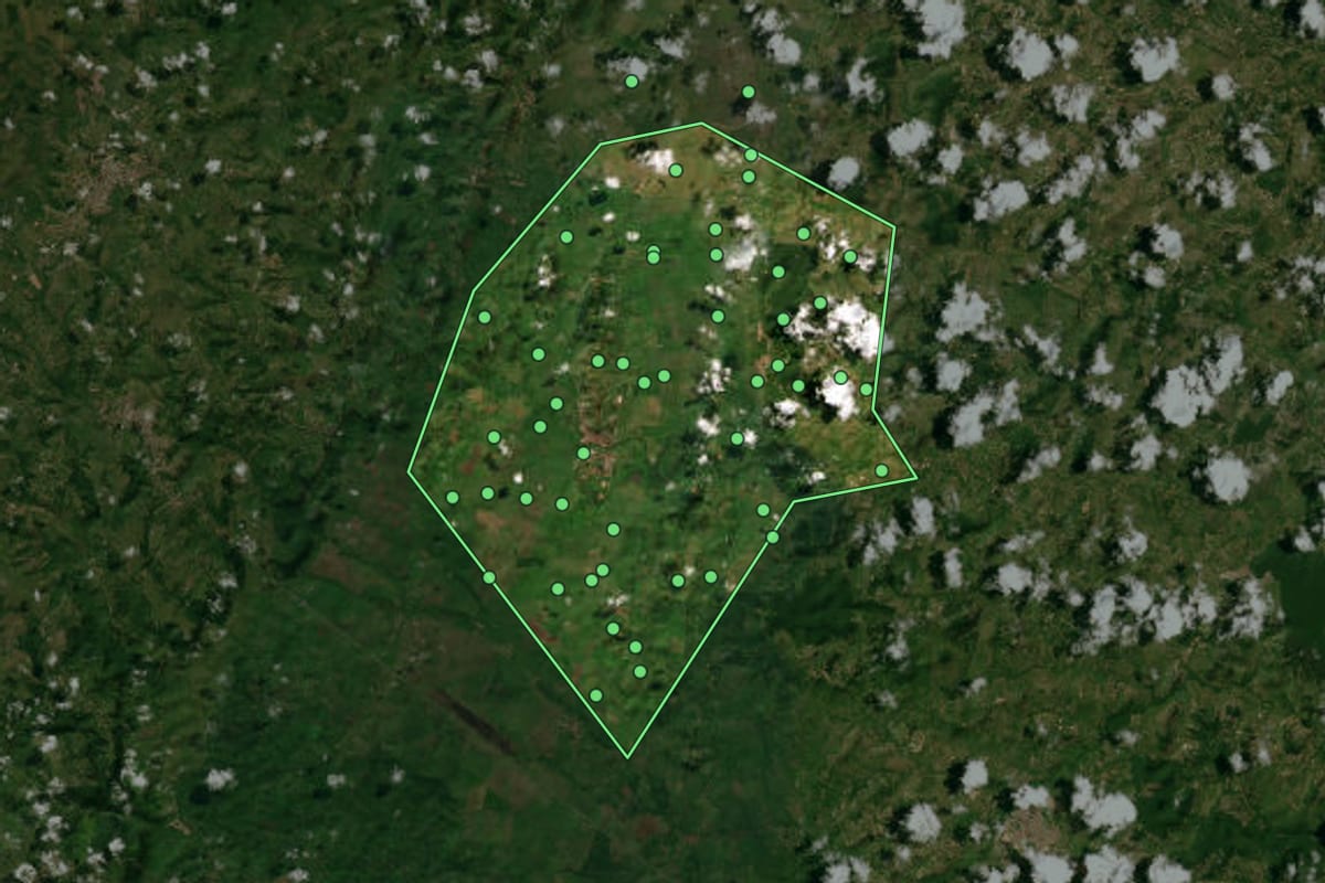 Imagem de satélite de Terra Nova (BA), com o contorno do município e a posição dos imóveis desta página.