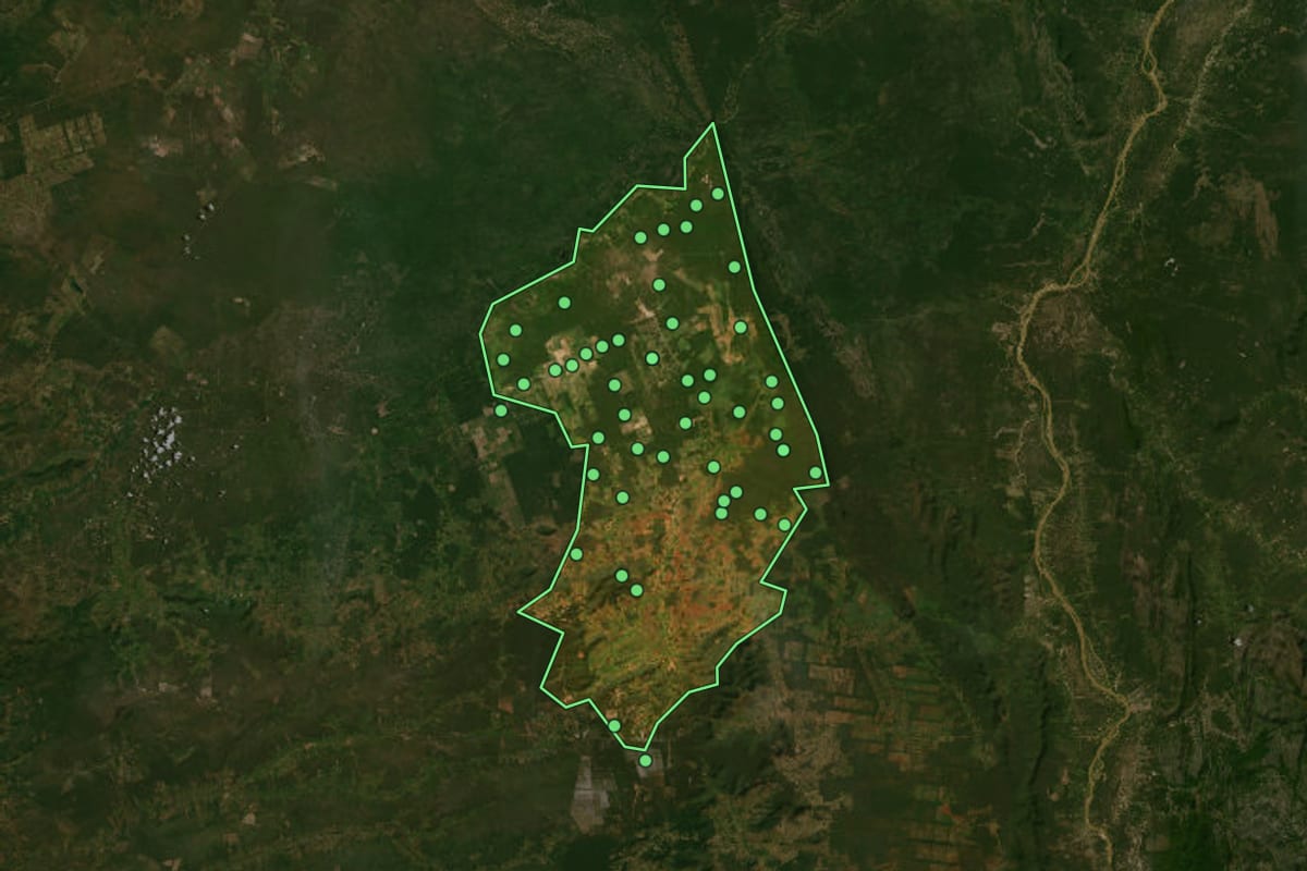 Imagem de satélite de Wanderley (BA), com o contorno do município e a posição dos imóveis desta página.