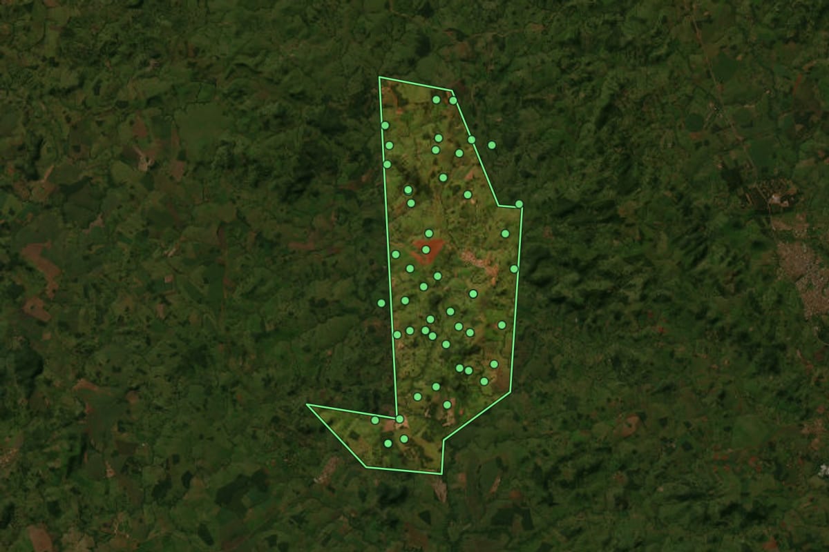 Imagem de satélite de Araçu (GO), com o contorno do município e a posição dos imóveis desta página.