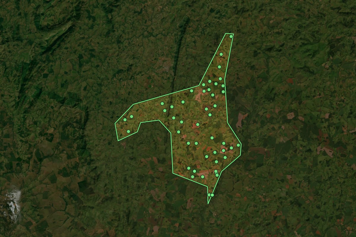 Imagem de satélite de Firminópolis (GO), com o contorno do município e a posição dos imóveis desta página.