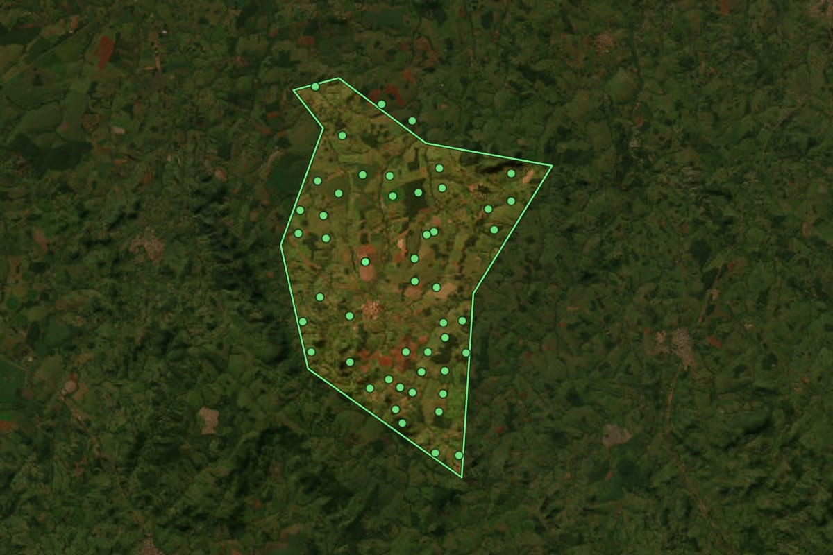 Imagem de satélite de Santa Rosa de Goiás (GO), com o contorno do município e a posição dos imóveis desta página.