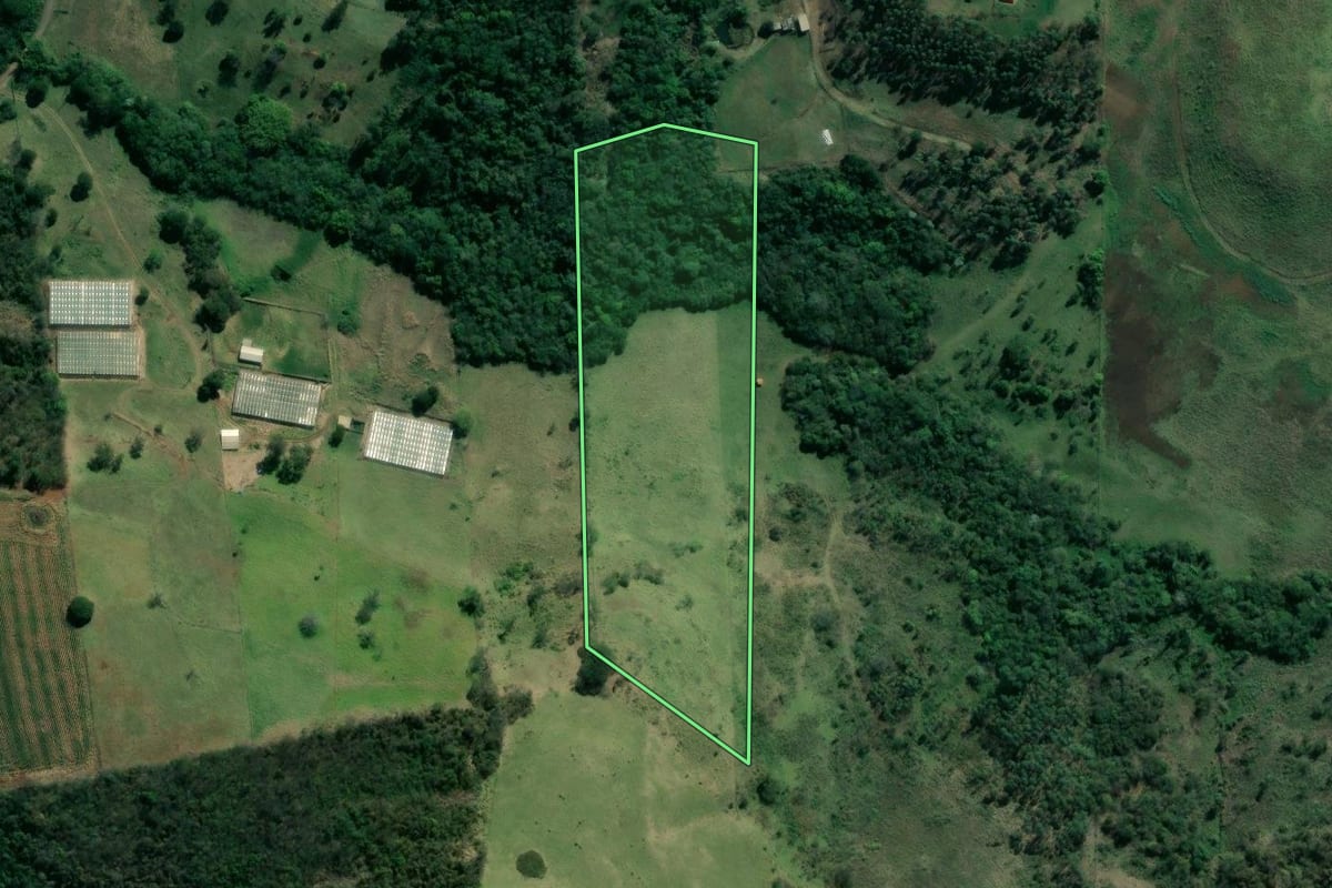 Imagem de satélite do imóvel rural em Abatiá (PR), com o contorno declarado no CAR desenhado por cima.
