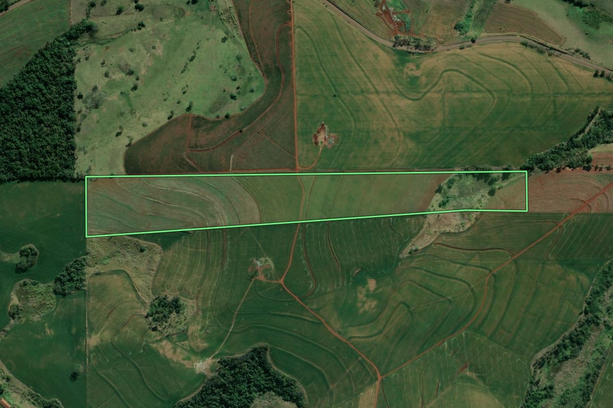 Imagem de satélite do imóvel rural em Abatiá (PR), com o contorno declarado no CAR desenhado por cima.