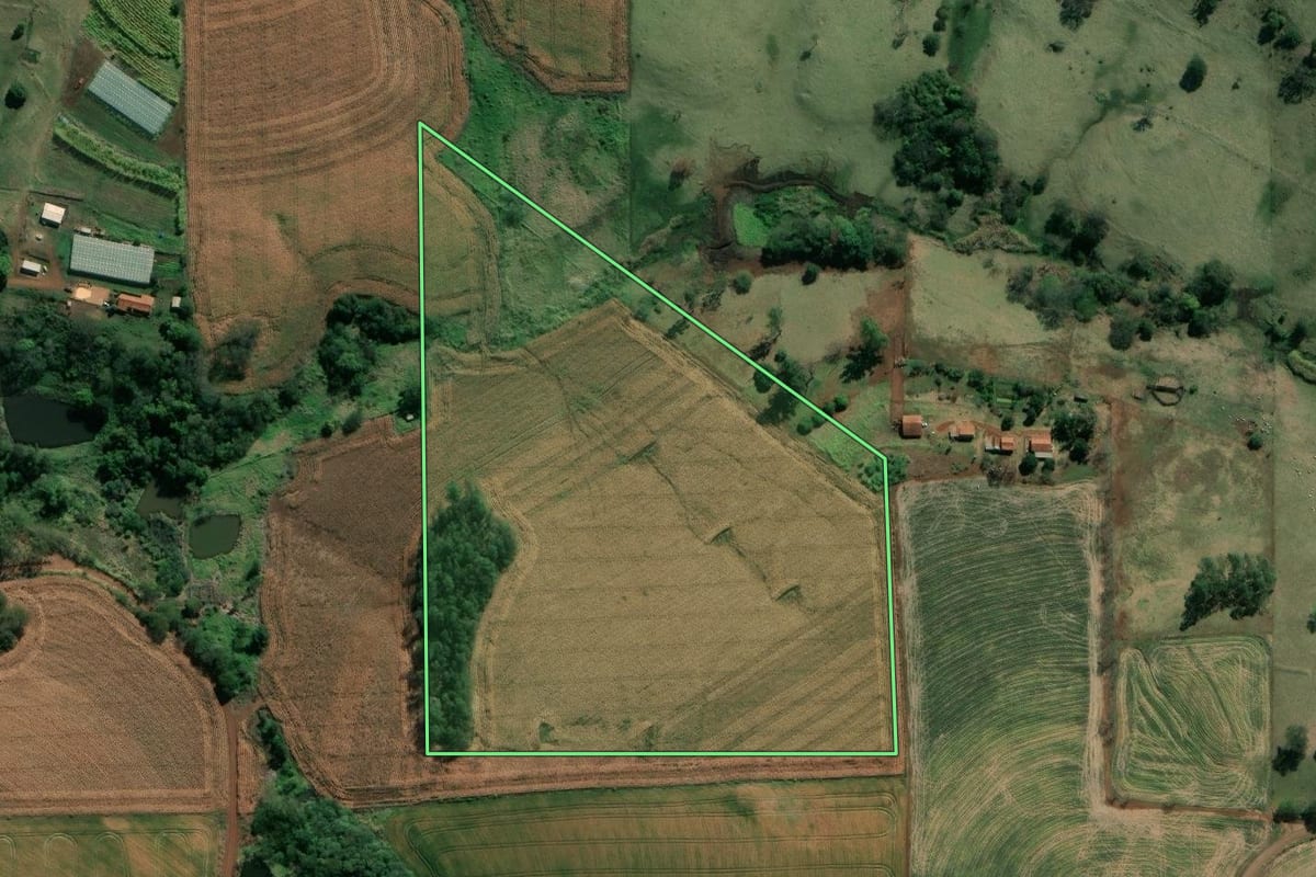 Imagem de satélite do imóvel rural em Abatiá (PR), com o contorno declarado no CAR desenhado por cima.