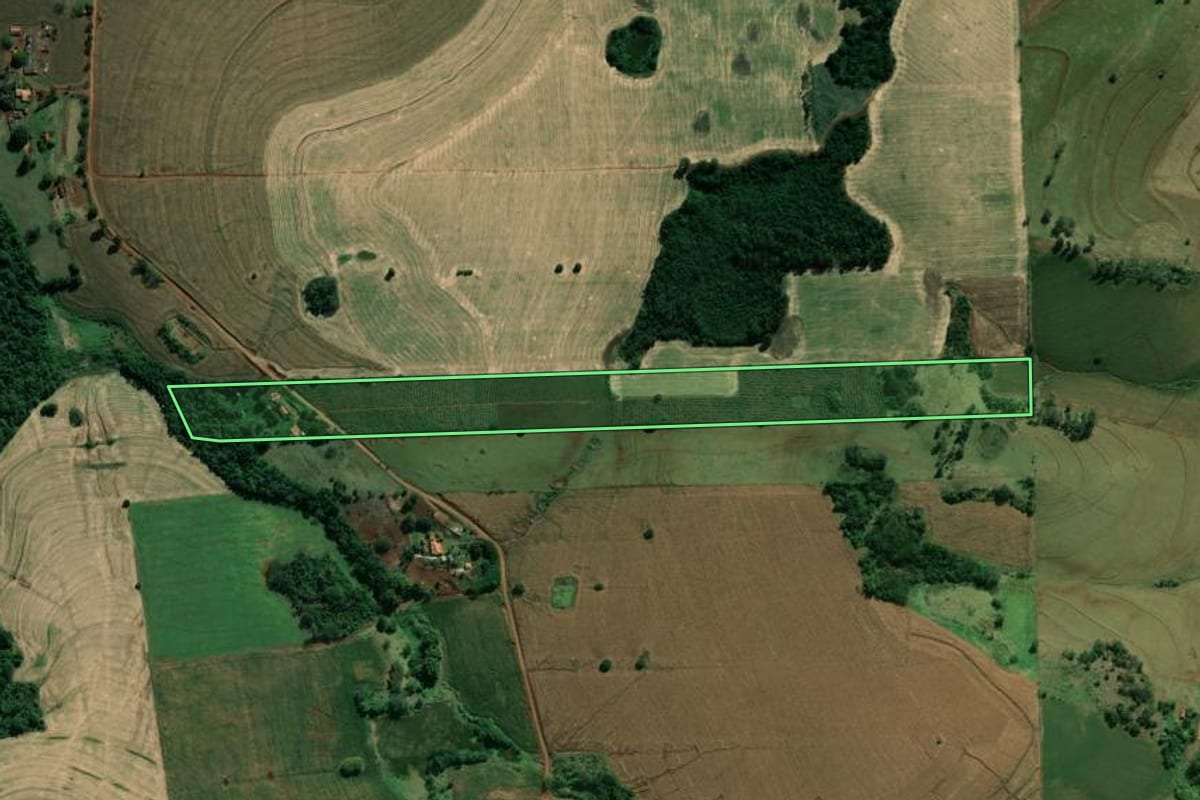 Imagem de satélite do imóvel rural em Abatiá (PR), com o contorno declarado no CAR desenhado por cima.