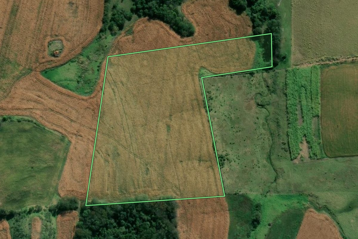 Imagem de satélite do imóvel rural em Abatiá (PR), com o contorno declarado no CAR desenhado por cima.