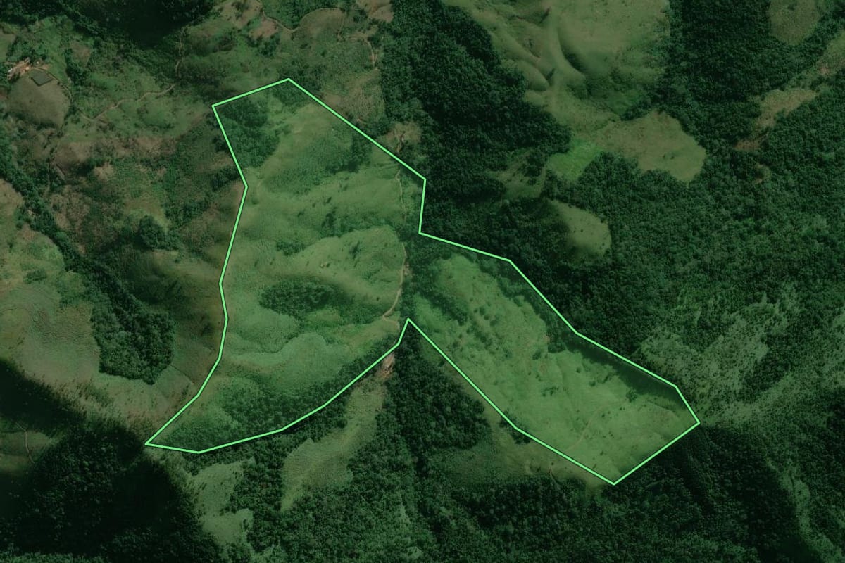 Imagem de satélite do imóvel rural em Adrianópolis (PR), com o contorno declarado no CAR desenhado por cima.