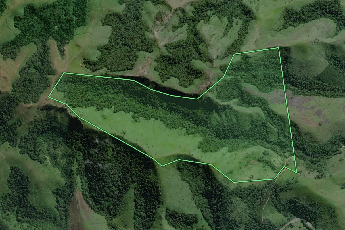 Imagem de satélite do imóvel rural em Adrianópolis (PR), com o contorno declarado no CAR desenhado por cima.
