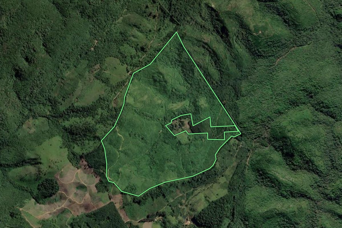 Imagem de satélite do imóvel rural em Adrianópolis (PR), com o contorno declarado no CAR desenhado por cima.