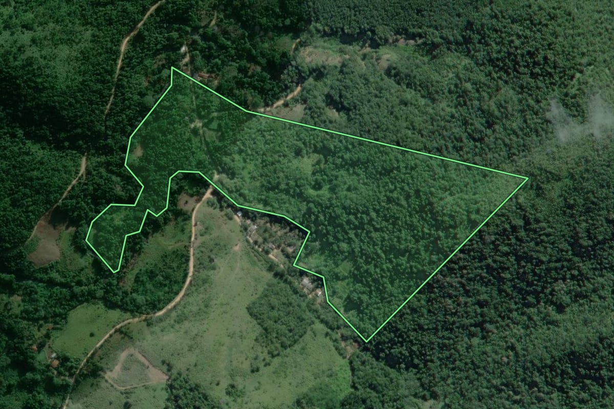 Imagem de satélite do imóvel rural em Adrianópolis (PR), com o contorno declarado no CAR desenhado por cima.