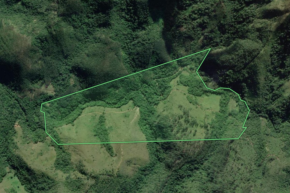 Imagem de satélite do imóvel rural em Adrianópolis (PR), com o contorno declarado no CAR desenhado por cima.