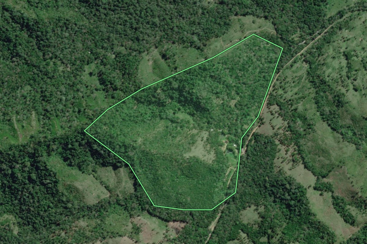 Imagem de satélite do imóvel rural em Adrianópolis (PR), com o contorno declarado no CAR desenhado por cima.
