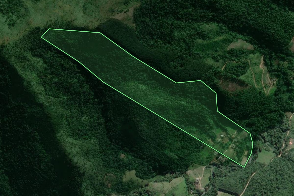 Imagem de satélite do imóvel rural em Adrianópolis (PR), com o contorno declarado no CAR desenhado por cima.