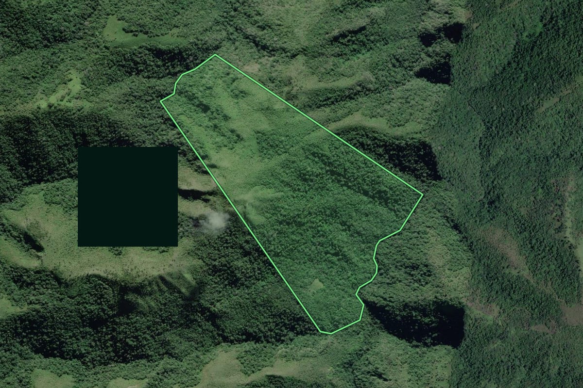Imagem de satélite do imóvel rural em Adrianópolis (PR), com o contorno declarado no CAR desenhado por cima.