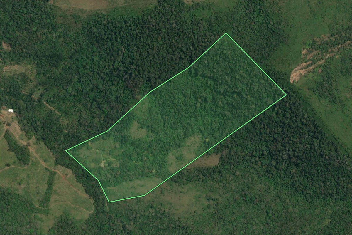 Imagem de satélite do imóvel rural em Adrianópolis (PR), com o contorno declarado no CAR desenhado por cima.