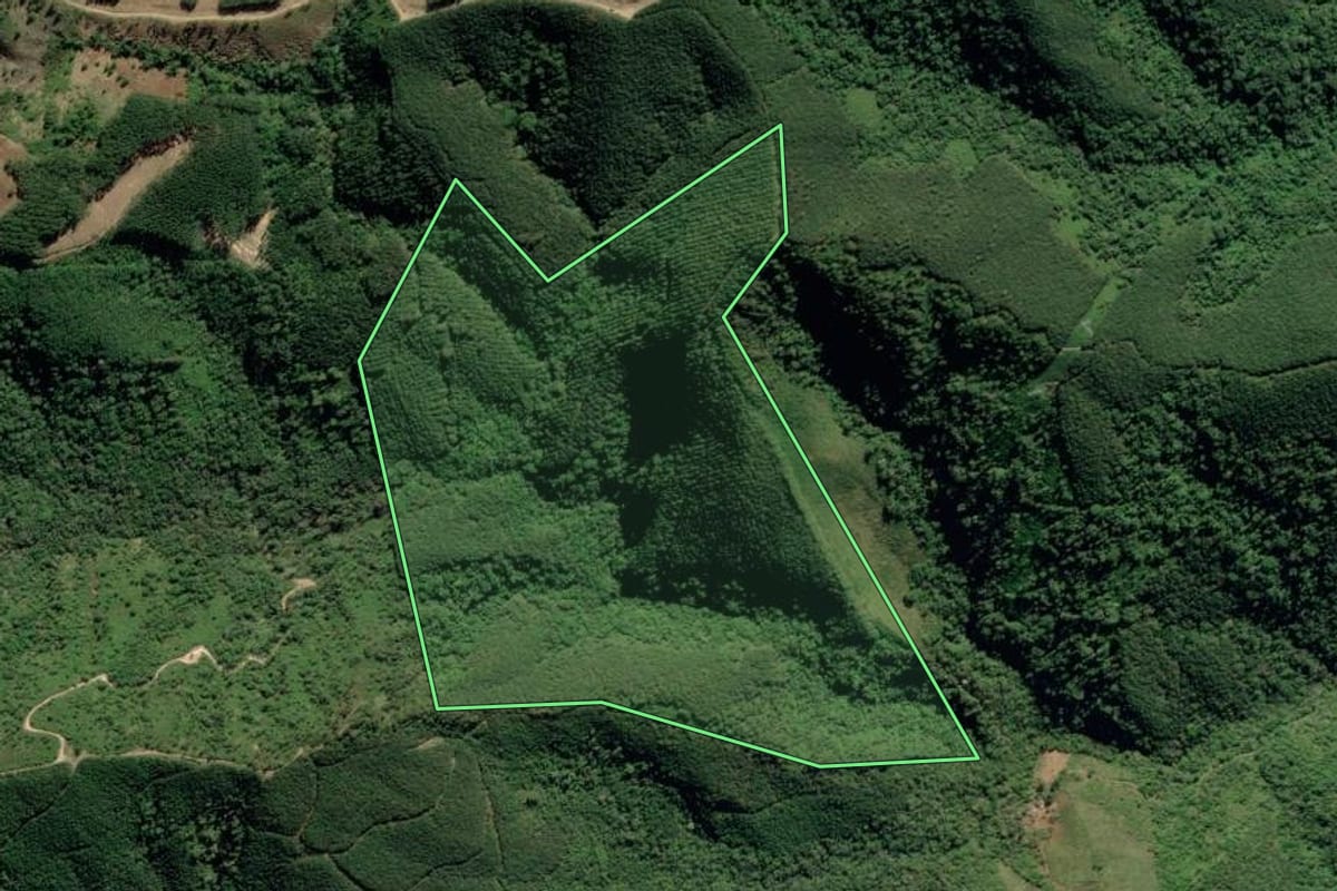 Imagem de satélite do imóvel rural em Adrianópolis (PR), com o contorno declarado no CAR desenhado por cima.
