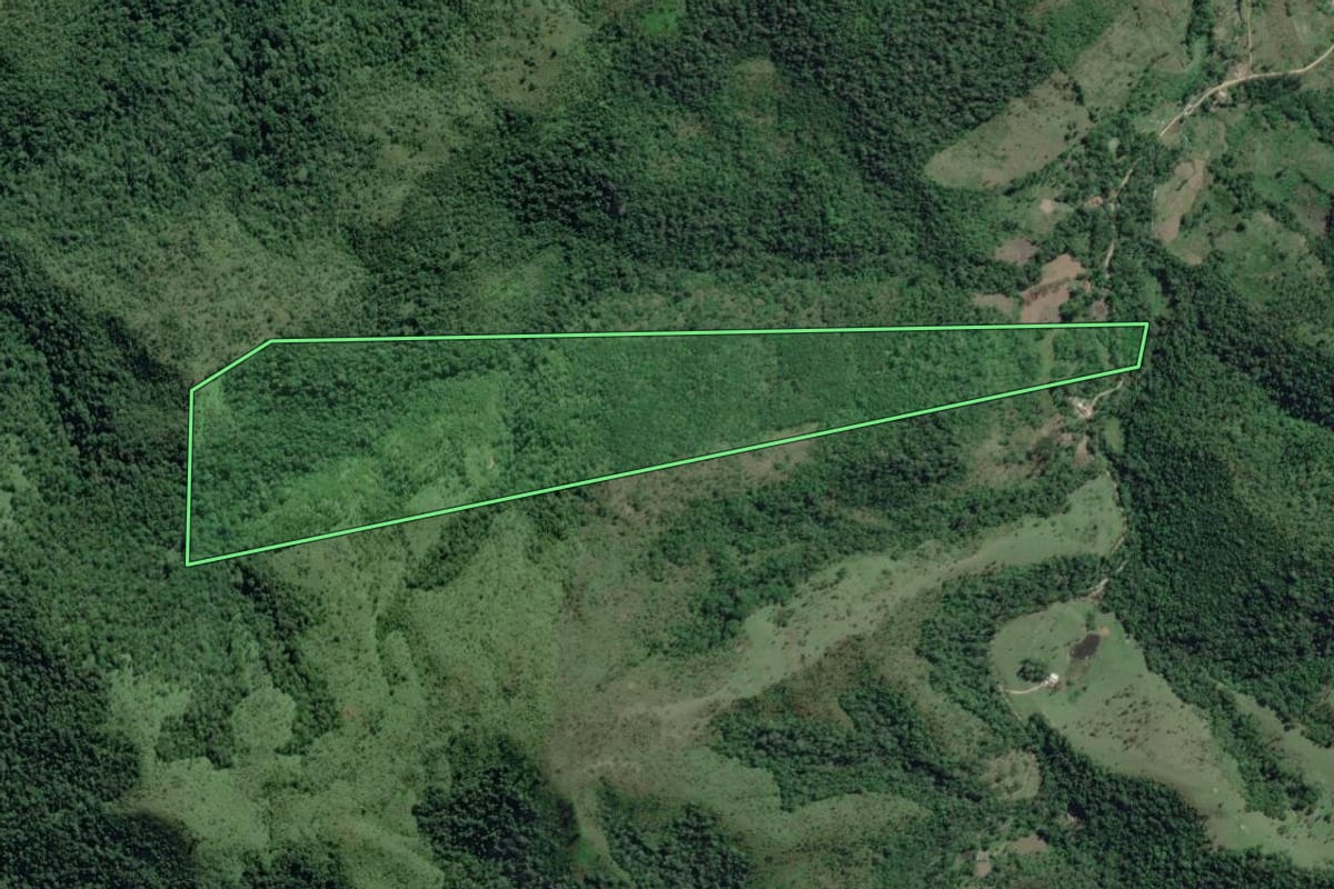 Imagem de satélite do imóvel rural em Adrianópolis (PR), com o contorno declarado no CAR desenhado por cima.