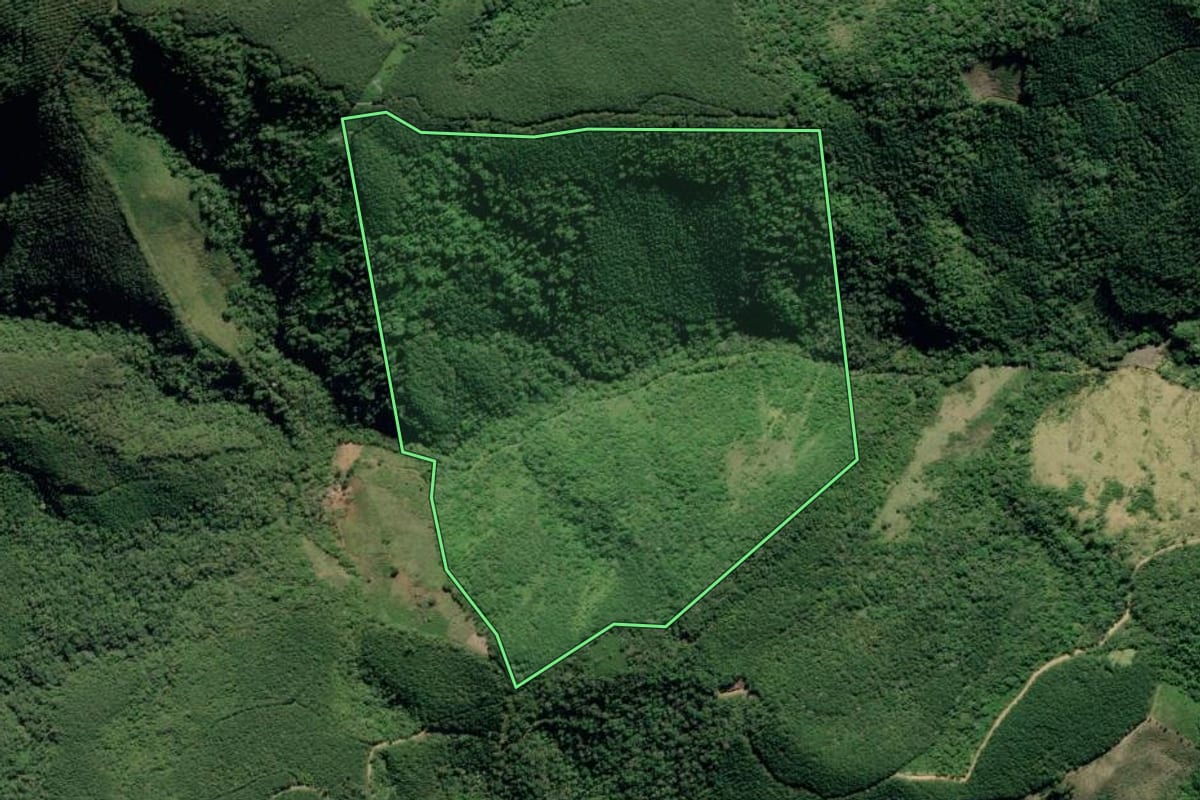 Imagem de satélite do imóvel rural em Adrianópolis (PR), com o contorno declarado no CAR desenhado por cima.
