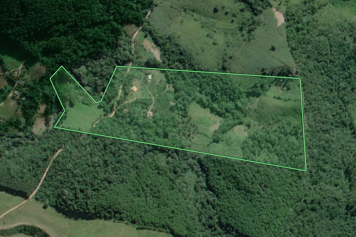 Imagem de satélite do imóvel rural em Adrianópolis (PR), com o contorno declarado no CAR desenhado por cima.