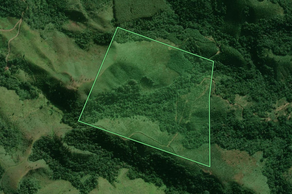 Imagem de satélite do imóvel rural em Adrianópolis (PR), com o contorno declarado no CAR desenhado por cima.