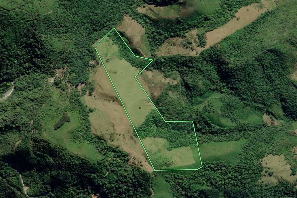 Imagem de satélite do imóvel rural em Adrianópolis (PR), com o contorno declarado no CAR desenhado por cima.