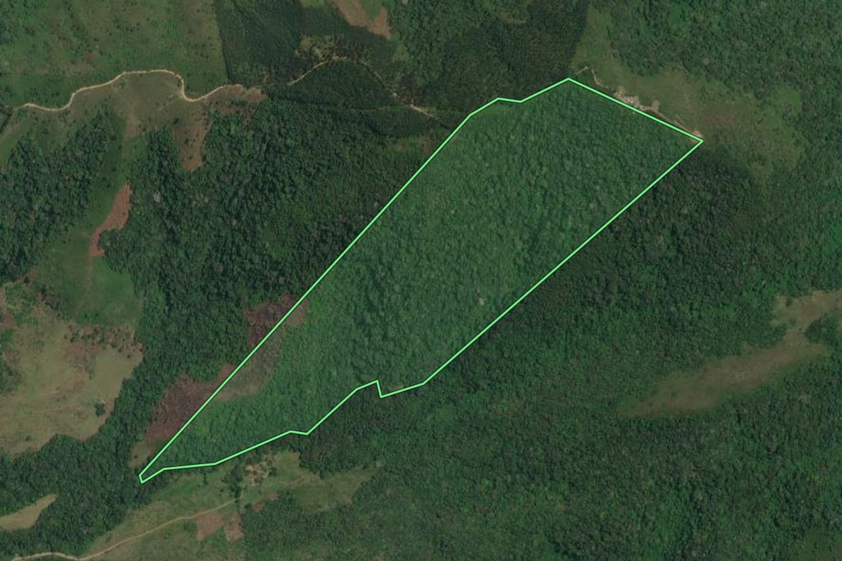 Imagem de satélite do imóvel rural em Adrianópolis (PR), com o contorno declarado no CAR desenhado por cima.
