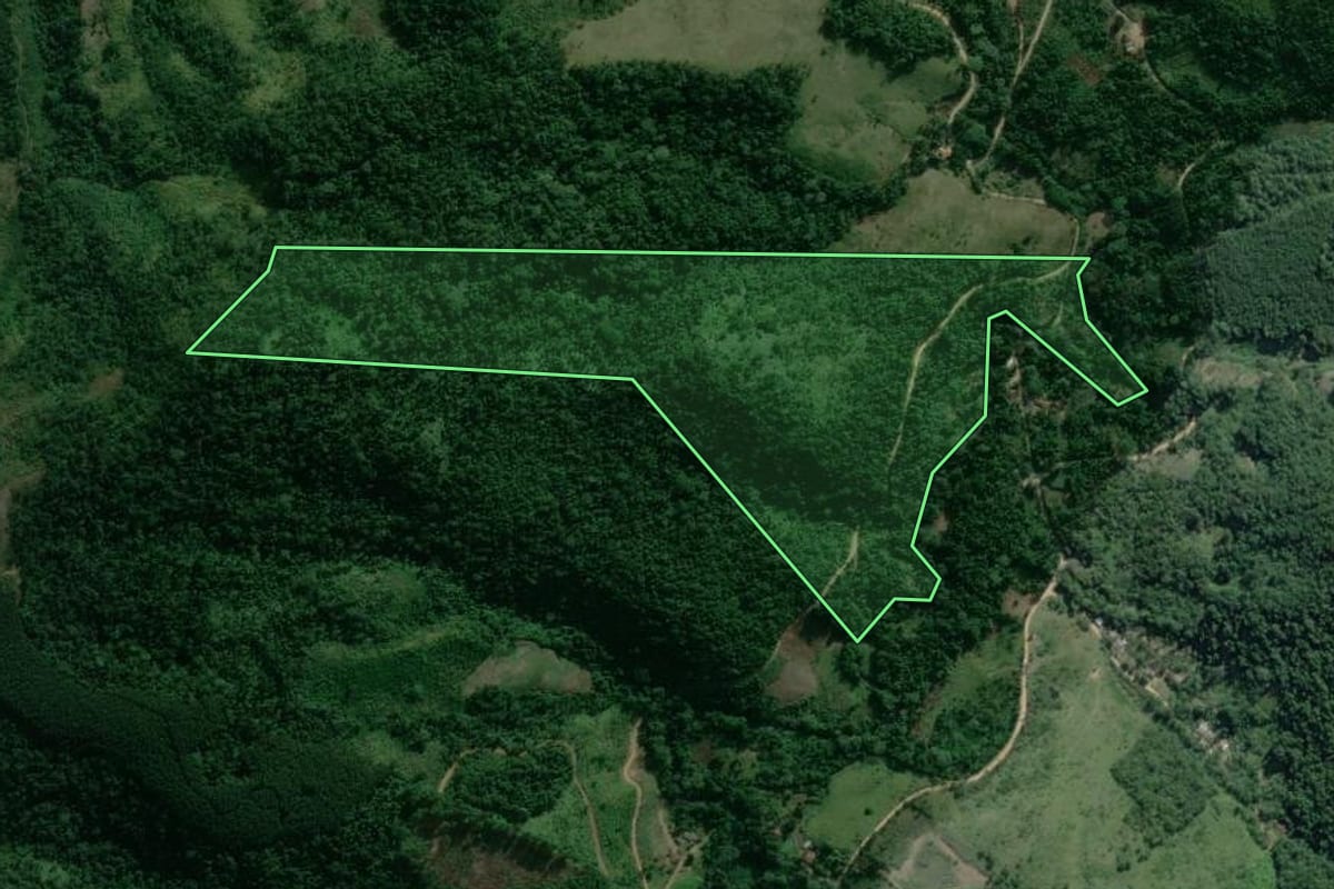 Imagem de satélite do imóvel rural em Adrianópolis (PR), com o contorno declarado no CAR desenhado por cima.