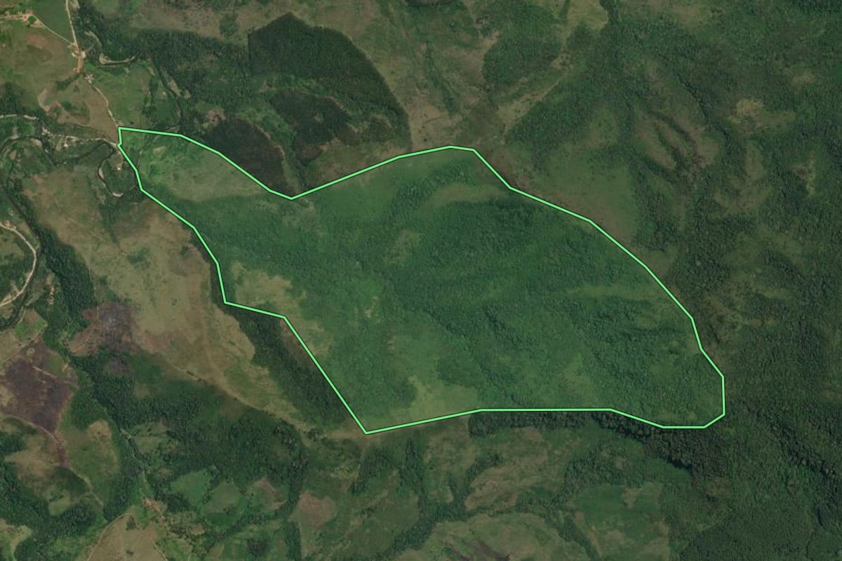 Imagem de satélite do imóvel rural em Adrianópolis (PR), com o contorno declarado no CAR desenhado por cima.