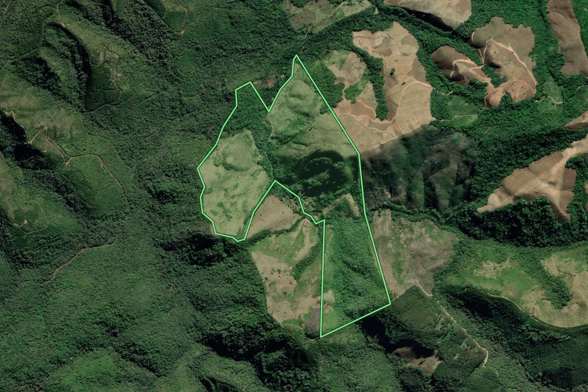 Imagem de satélite do imóvel rural em Adrianópolis (PR), com o contorno declarado no CAR desenhado por cima.