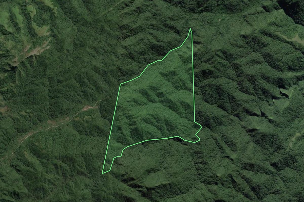 Imagem de satélite do imóvel rural em Adrianópolis (PR), com o contorno declarado no CAR desenhado por cima.