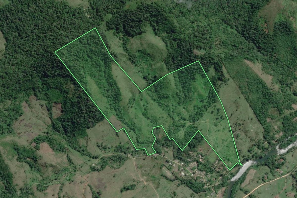 Imagem de satélite do imóvel rural em Adrianópolis (PR), com o contorno declarado no CAR desenhado por cima.