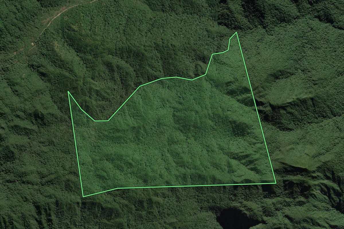 Imagem de satélite do imóvel rural em Adrianópolis (PR), com o contorno declarado no CAR desenhado por cima.