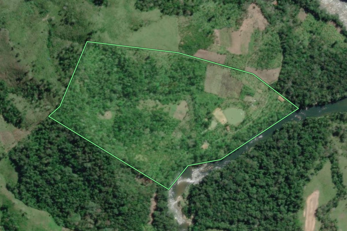Imagem de satélite do imóvel rural em Adrianópolis (PR), com o contorno declarado no CAR desenhado por cima.