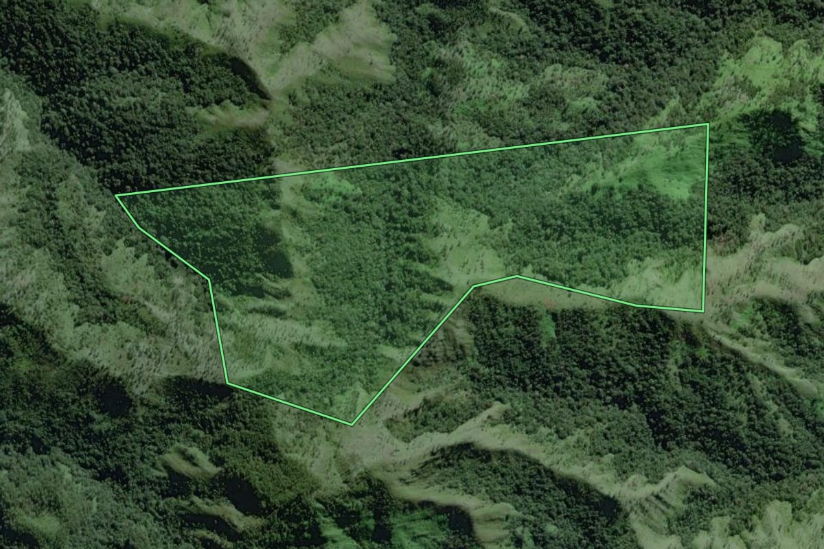 Imagem de satélite do imóvel rural em Adrianópolis (PR), com o contorno declarado no CAR desenhado por cima.