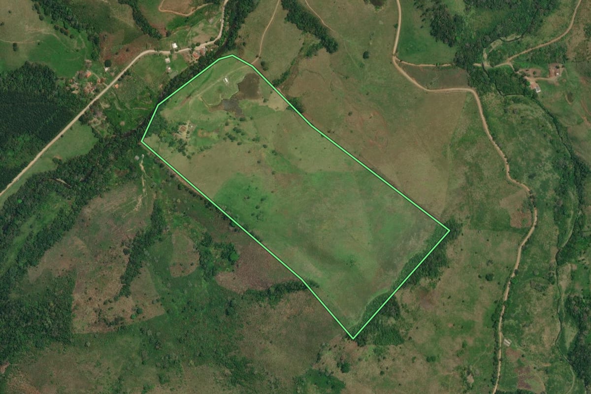 Imagem de satélite do imóvel rural em Adrianópolis (PR), com o contorno declarado no CAR desenhado por cima.