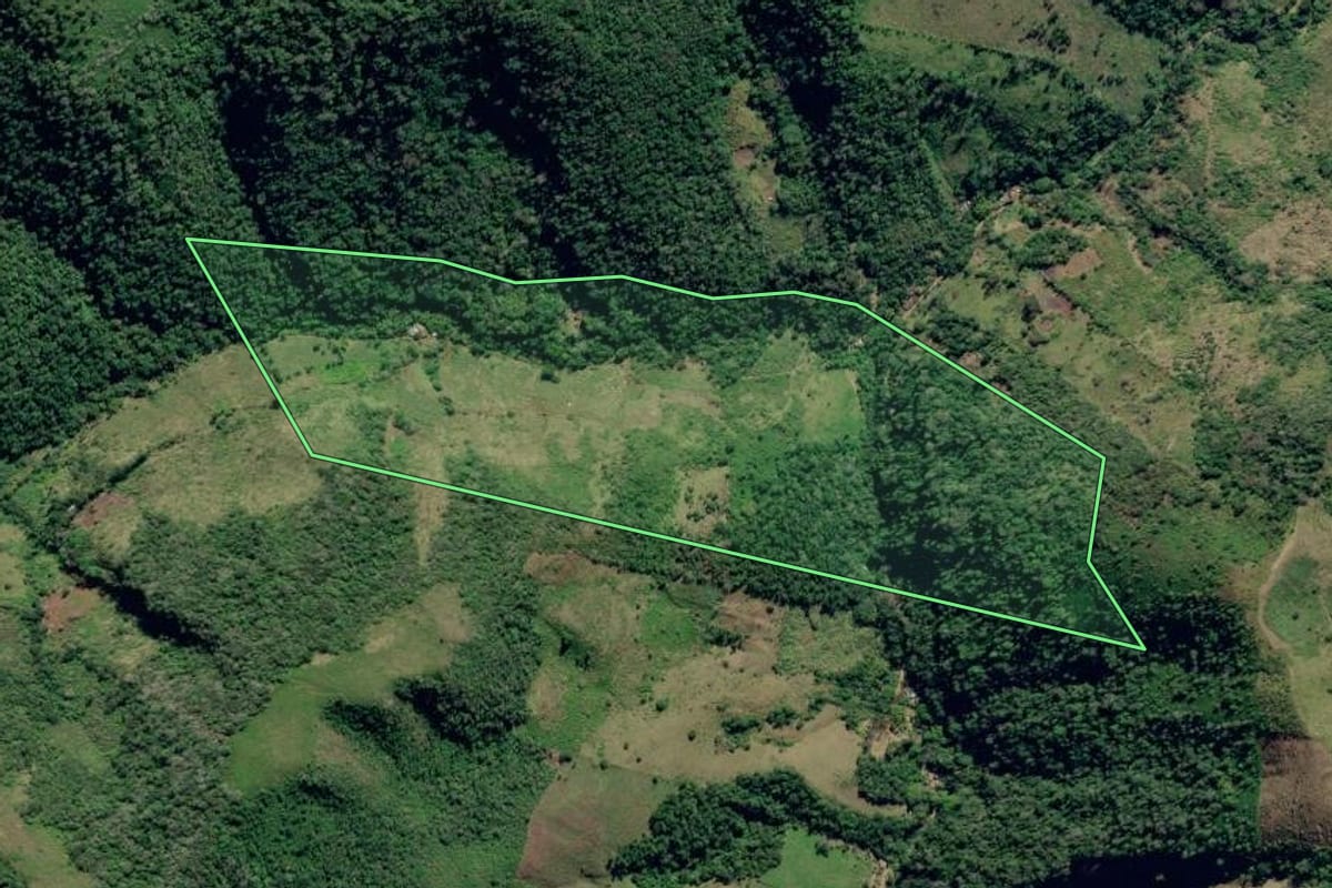 Imagem de satélite do imóvel rural em Adrianópolis (PR), com o contorno declarado no CAR desenhado por cima.