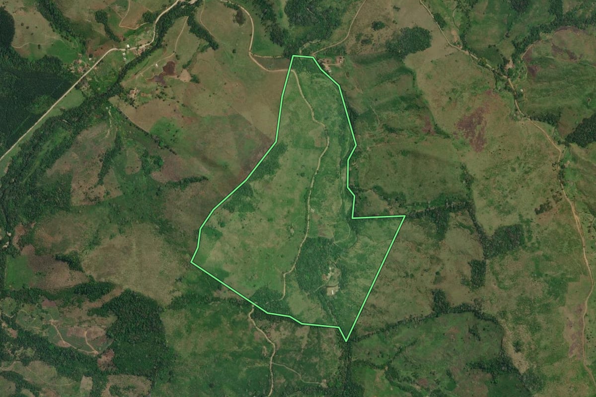 Imagem de satélite do imóvel rural em Adrianópolis (PR), com o contorno declarado no CAR desenhado por cima.